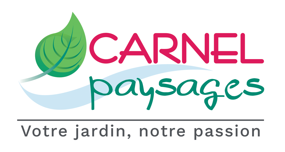 CARNEL PAYSAGE-1